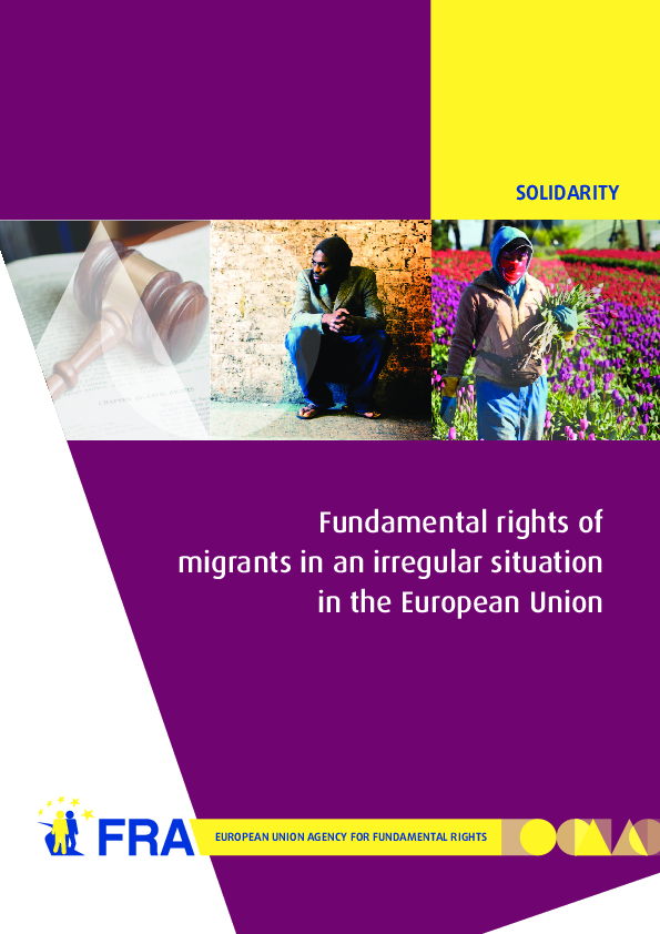 1351_FRA_2011_Migrants_in_an_irregular_situation_EN_original.pdf.png