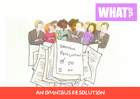 what-is-an-omnibus-resolution-2(thumbnail)