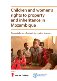 children-and-womens-rights-to-property-and-inheritance-in-mozambique-elements-for-an-effective-intervention-strategy-2(thumbnail)