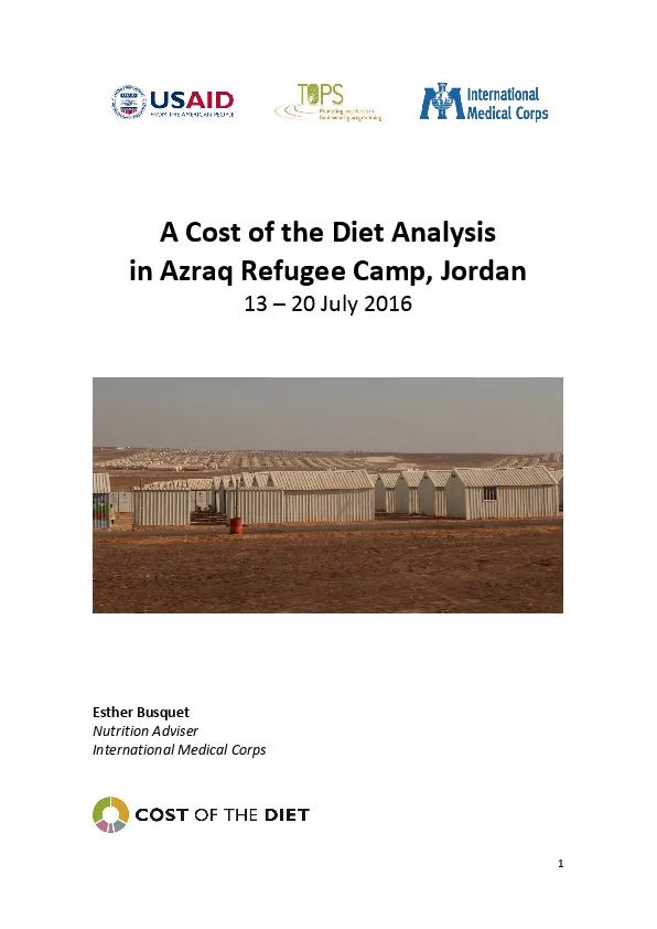 a_cost_of_the_diet_analysis_in_azraq_refugee_camp_jordan-1(thumbnail)