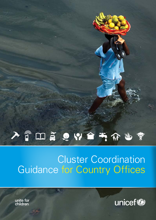 Cluster-Coordination-Guidance-for-CO-Eng-11-May.pdf_5.png