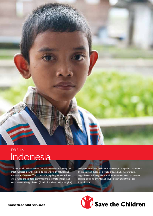 DRR in Indonesia.pdf