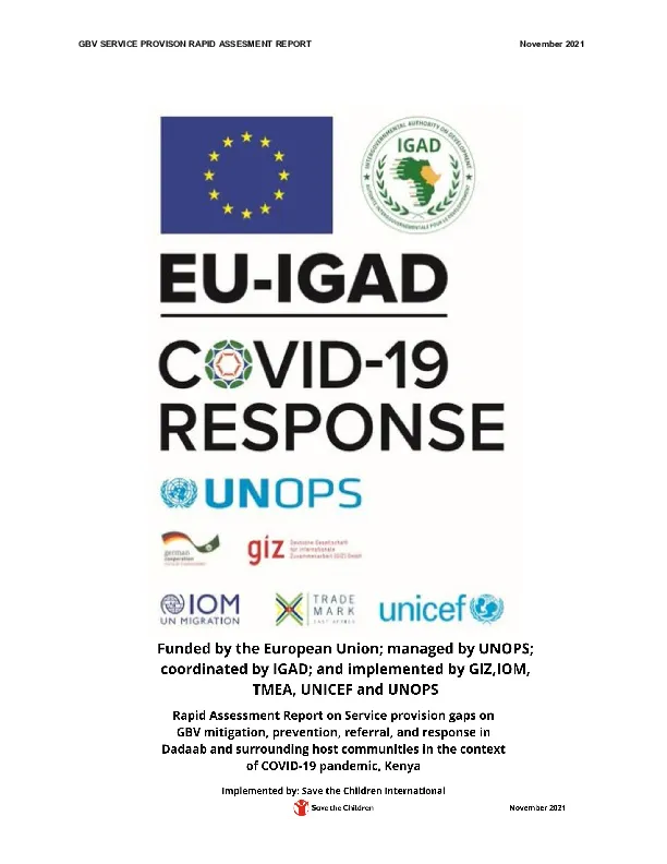 final-gbv-service-provision-rapid-assessment-report(thumbnail)