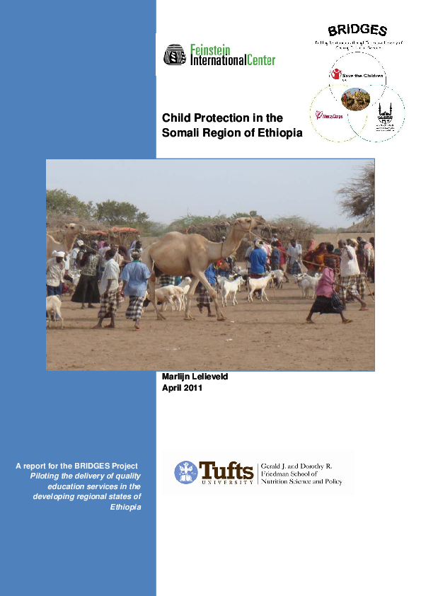FINALChild_Protection_in_the_Somali_Region_30511.pdf.png