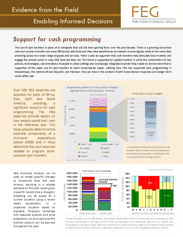 hea-feg-2-pager-cash-programming(thumbnail)