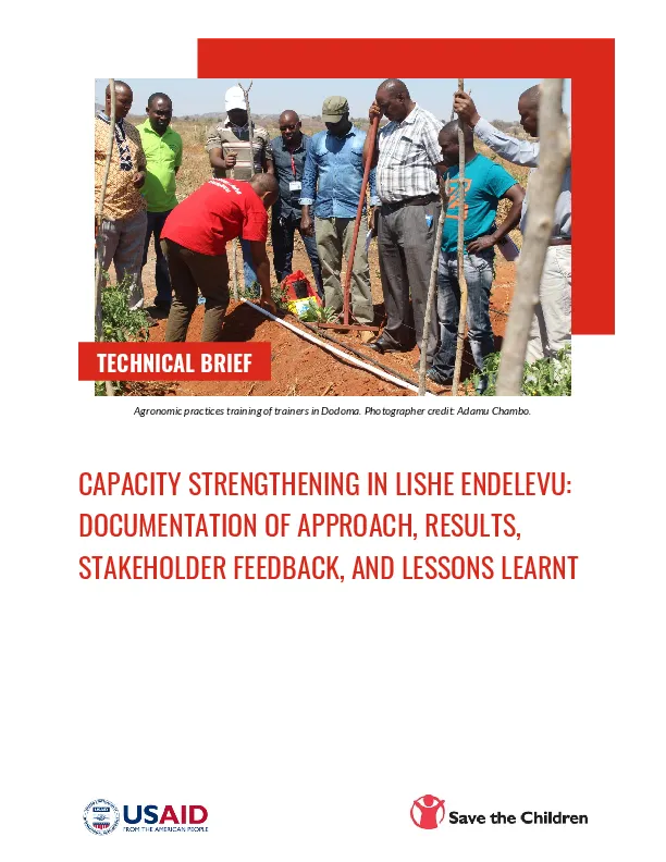 Capacity Strengthening in Lishe Endelevu: Documentation of Approach, Results, Stakeholder Feedback, and Lessons Learnt