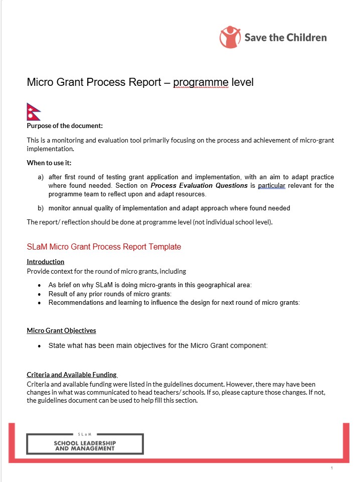 Micro Grant Process Report Programme Level