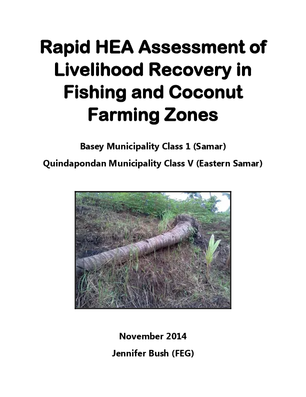 rapid-hea_yolanda-recovery-in-samar(thumbnail)