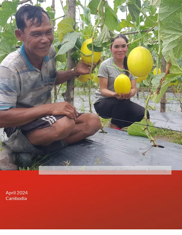 Social Return on Investment Report: The systems approach to transformative economic empowerment and resilience in Koh Kong province (STEER) project