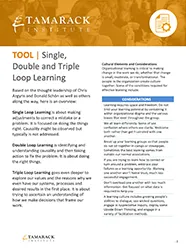 Toolkit 2—7. Single double triple loop learning