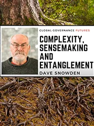 Toolkit 3—3. Complexity sensemaking and entanglement