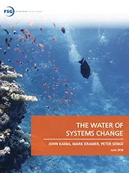 Toolkit 4—13. The waters of systems change