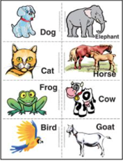 Animal Cards | Save the Children’s Resource Centre