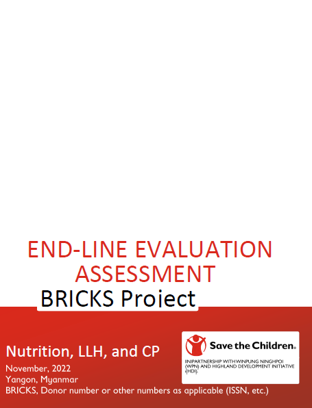 End-line Evaluation Assessment BRICKS Project