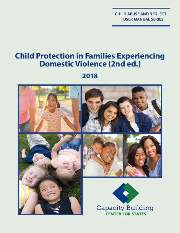 child-protection-in-families-experiencing-domestic-violence.pdf_0.png