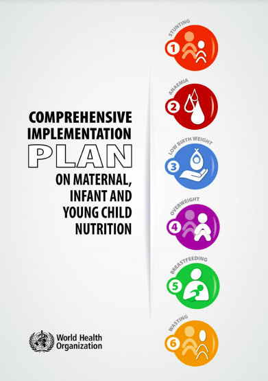 comprehensive implementation plan