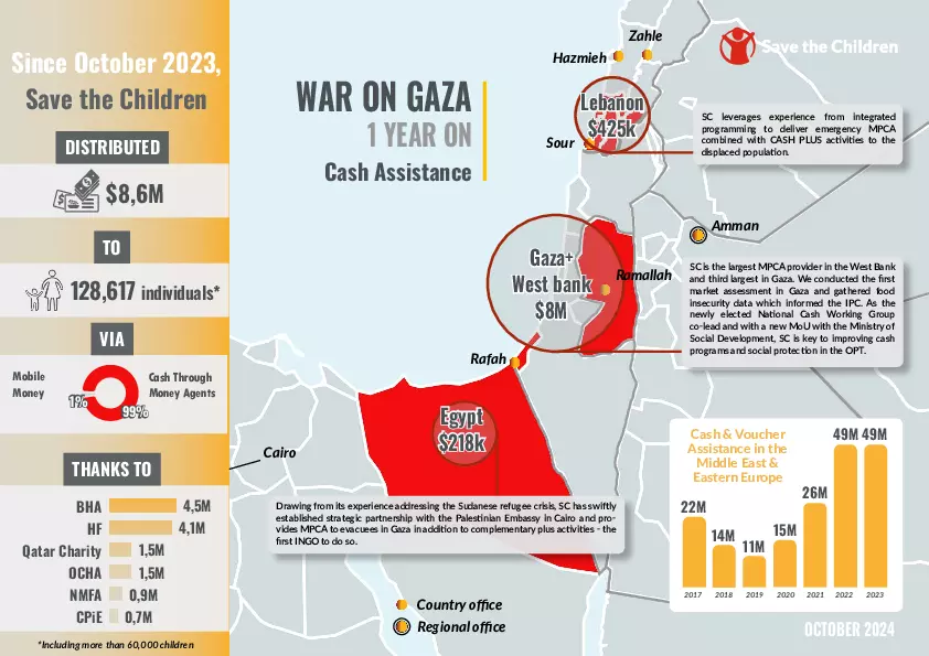 Middle East and oPt: Regional CVA infographics