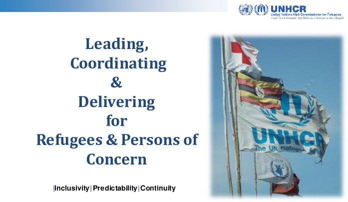 refugee-response-coordination-presentation-for-distribution-ext.pdf_0.png