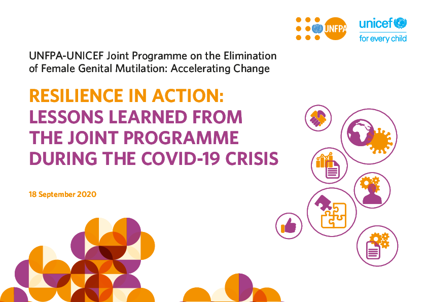 resilience_in_action-_lessons_learned_from_the_joint_programme_during_the_covid-19_crisis.pdf_2.png