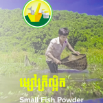 NOURISH Small Fish Powder Factsheet