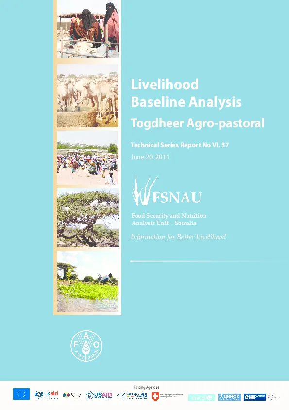 so_togdher-agropastoral-base-line-report-april-2011-1(thumbnail)