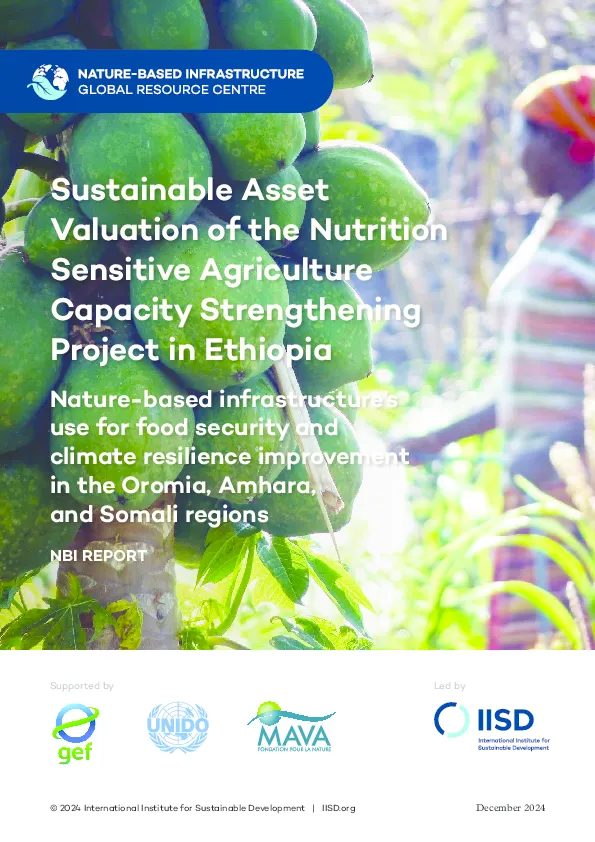 sustainable-asset-valuation-ethiopia-agriculture(thumbnail)