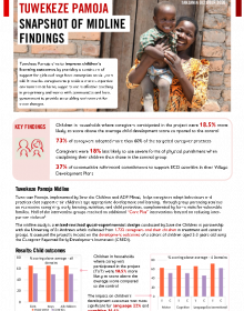 tuwekeze_pamoja_midline_tanzania_-_findings_snapshot_2020.pdf_0.png